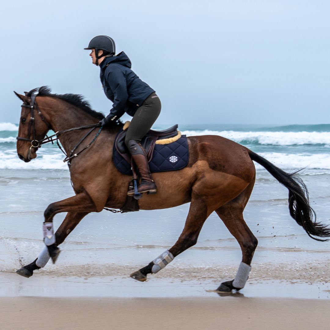 Top Horse Friendly Beaches